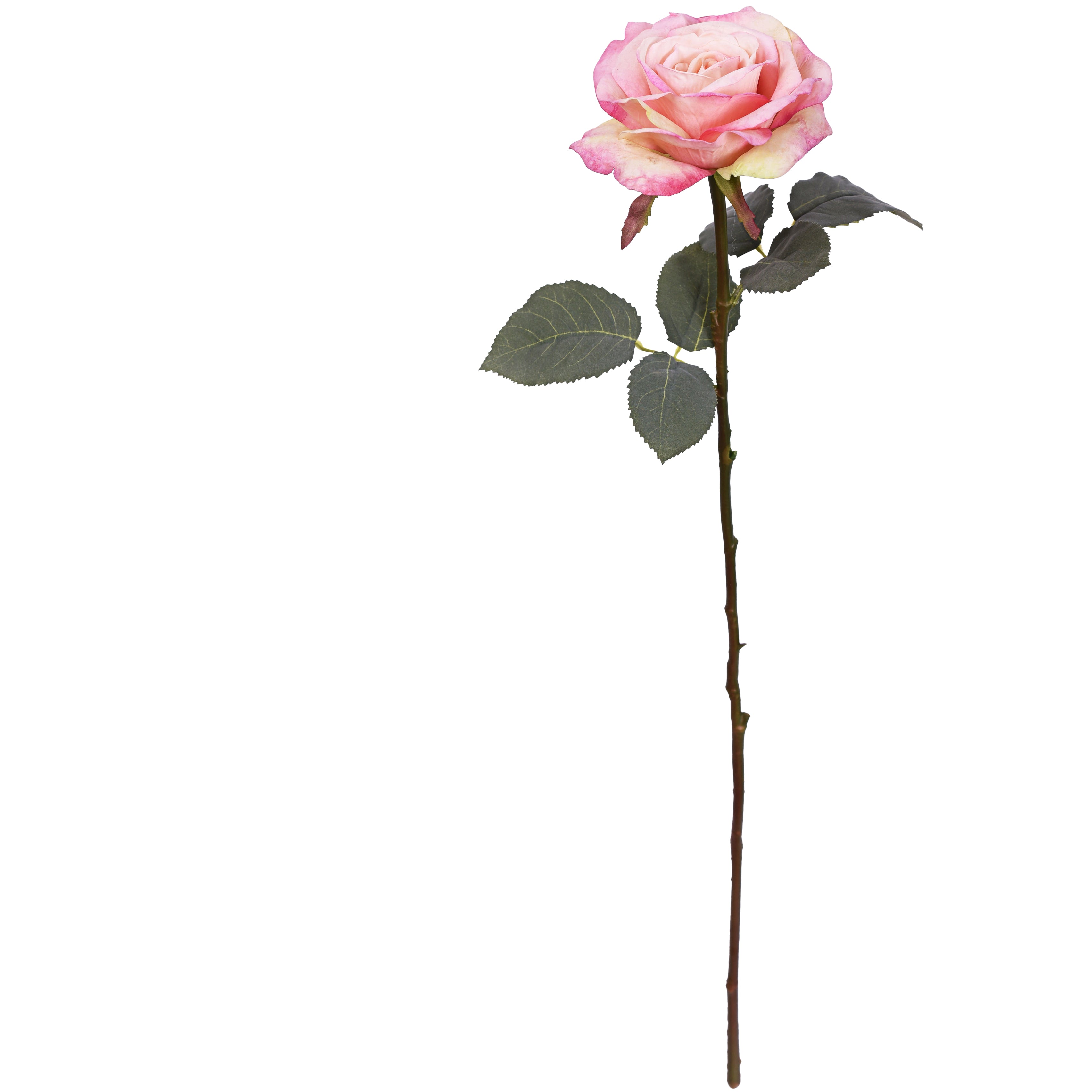 25.9 Inch Artificial Rose Stem with Realistic Bloom