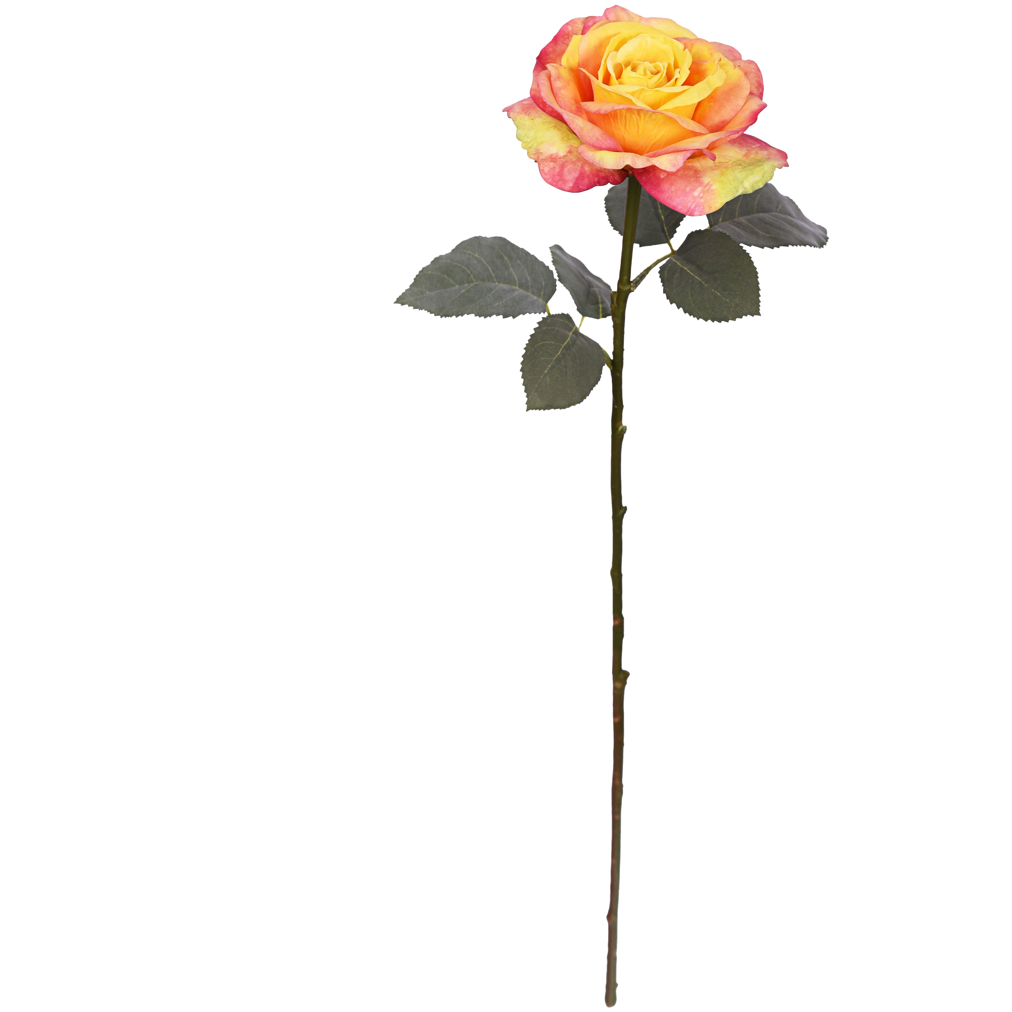 25.9 Inch Artificial Rose Stem with Realistic Bloom