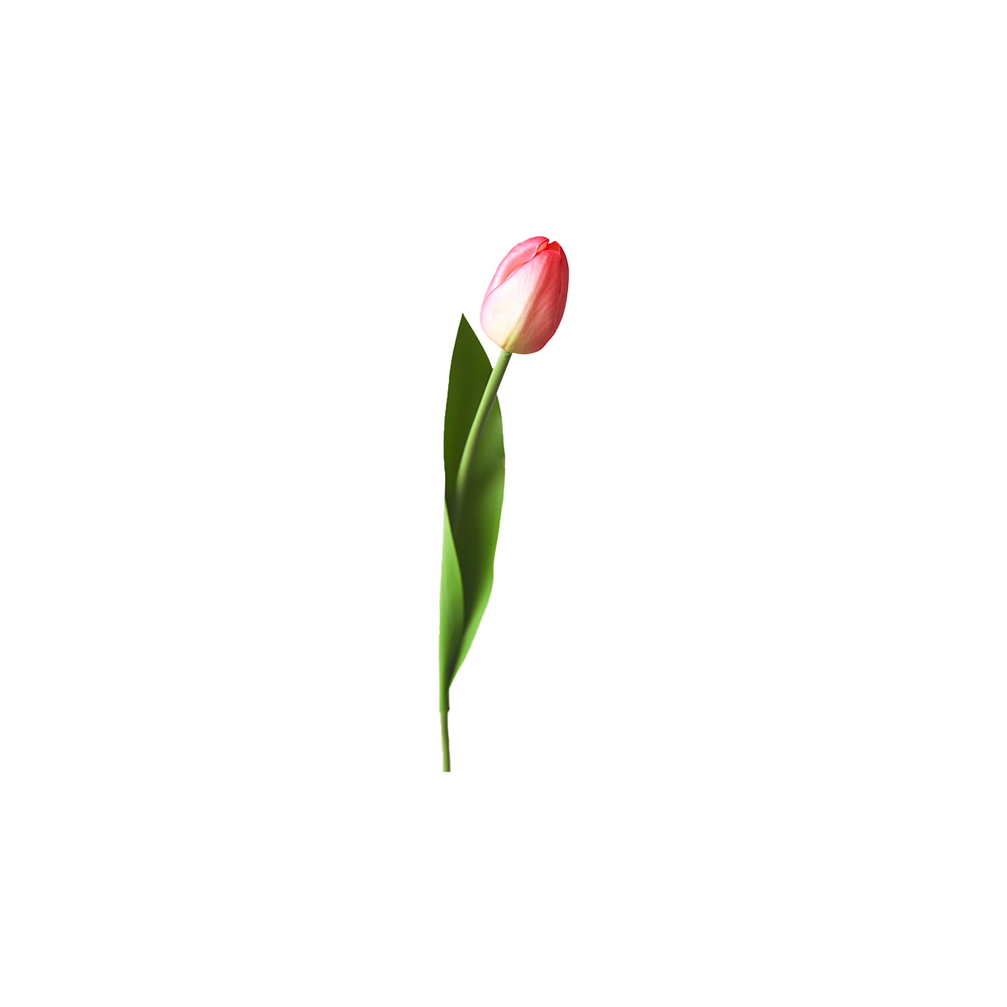 18.5" Artificial Tulip Stem - Single Lifelike Flower